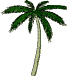palmtreedancing.gif